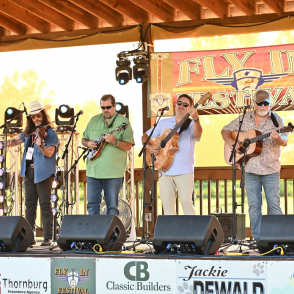 Members of the band String Therapy on stage performing