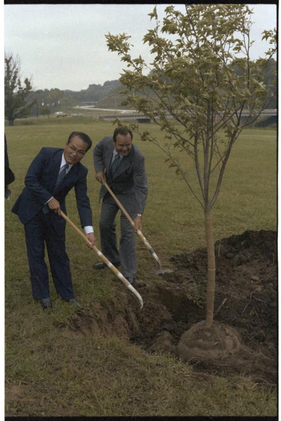 Ohio University President Charles Ping and Chubu University President Yamada plant cherry tree, 1979