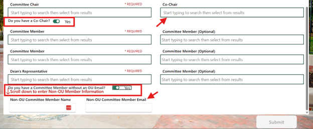 A screenshot of an online form that students are meant to fill in