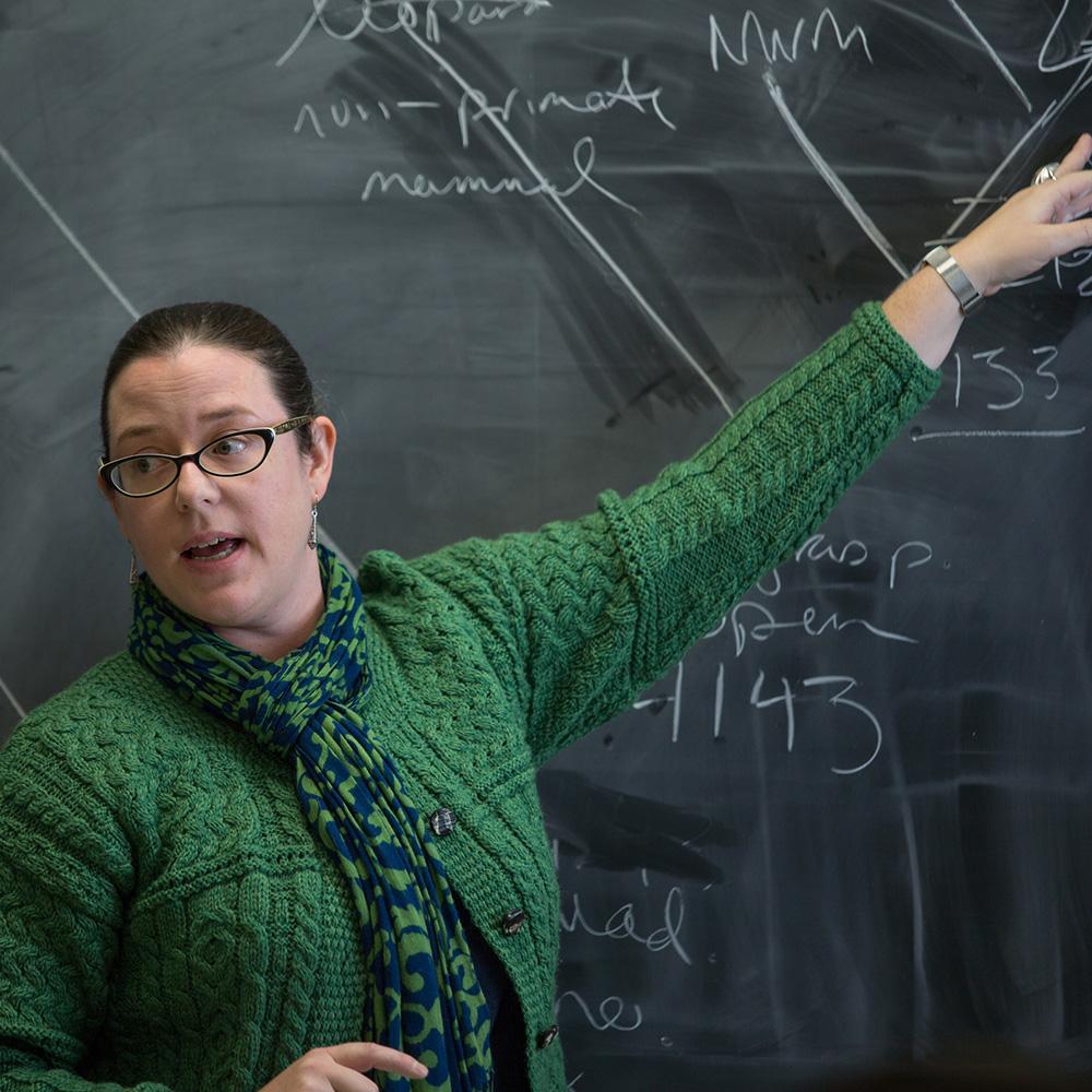 An instructor points at material on a chalkboard.