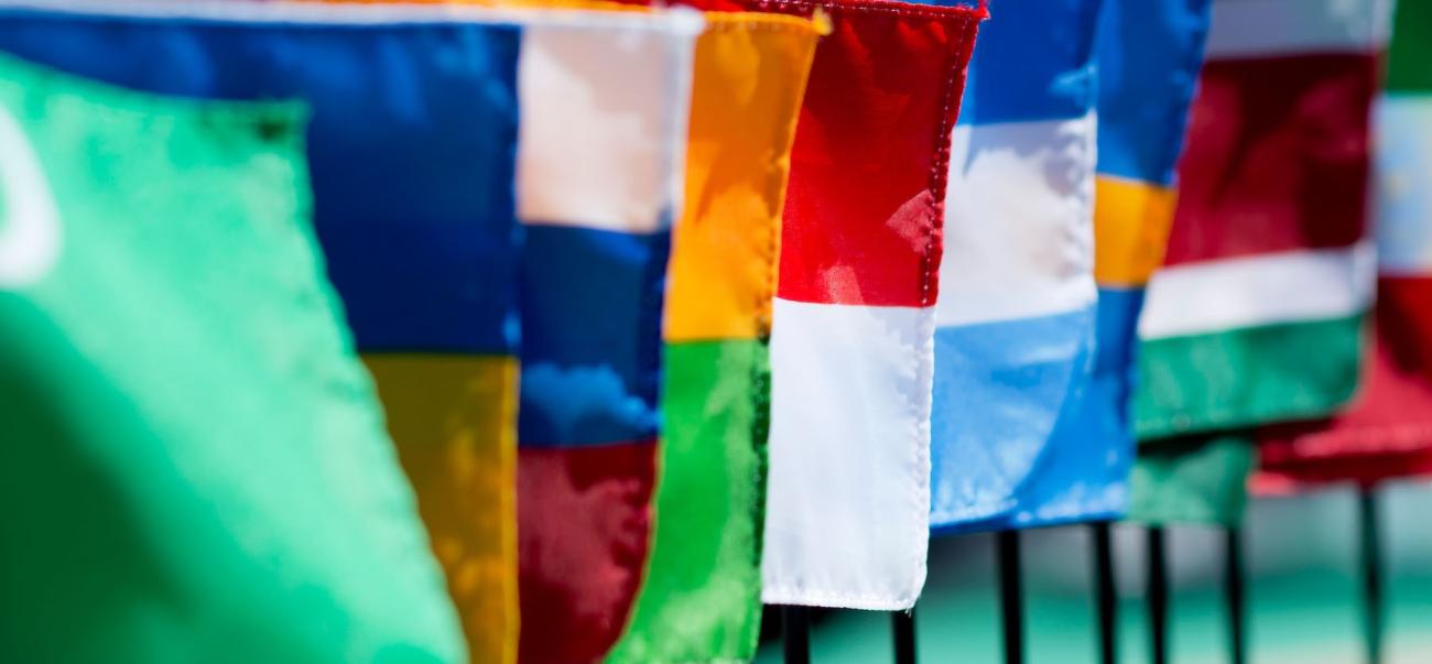 International Flags Hero
