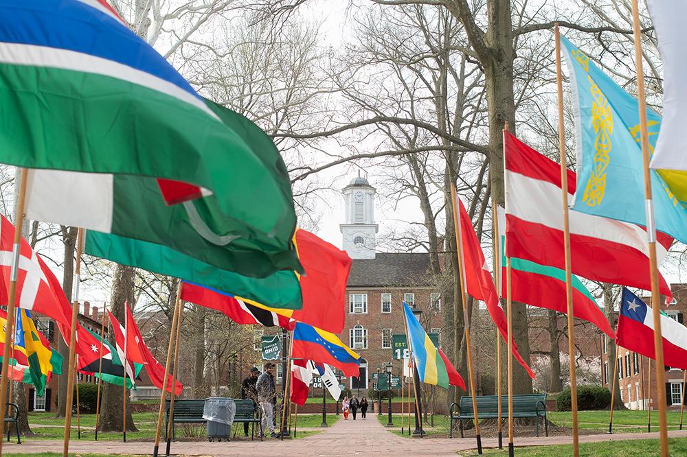 International flags placed on College Green during the international street fair