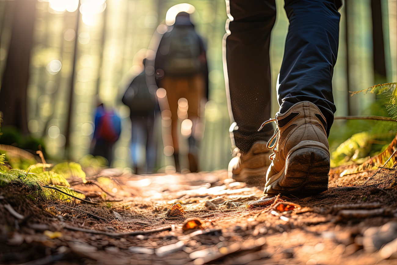 Image of people hiking on forest trail
