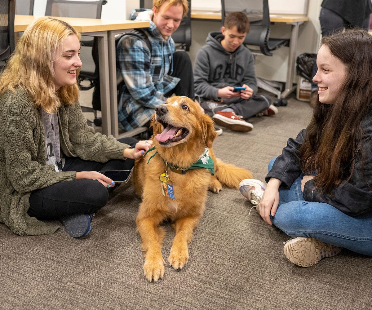 Students play with a dog during a mental health event.