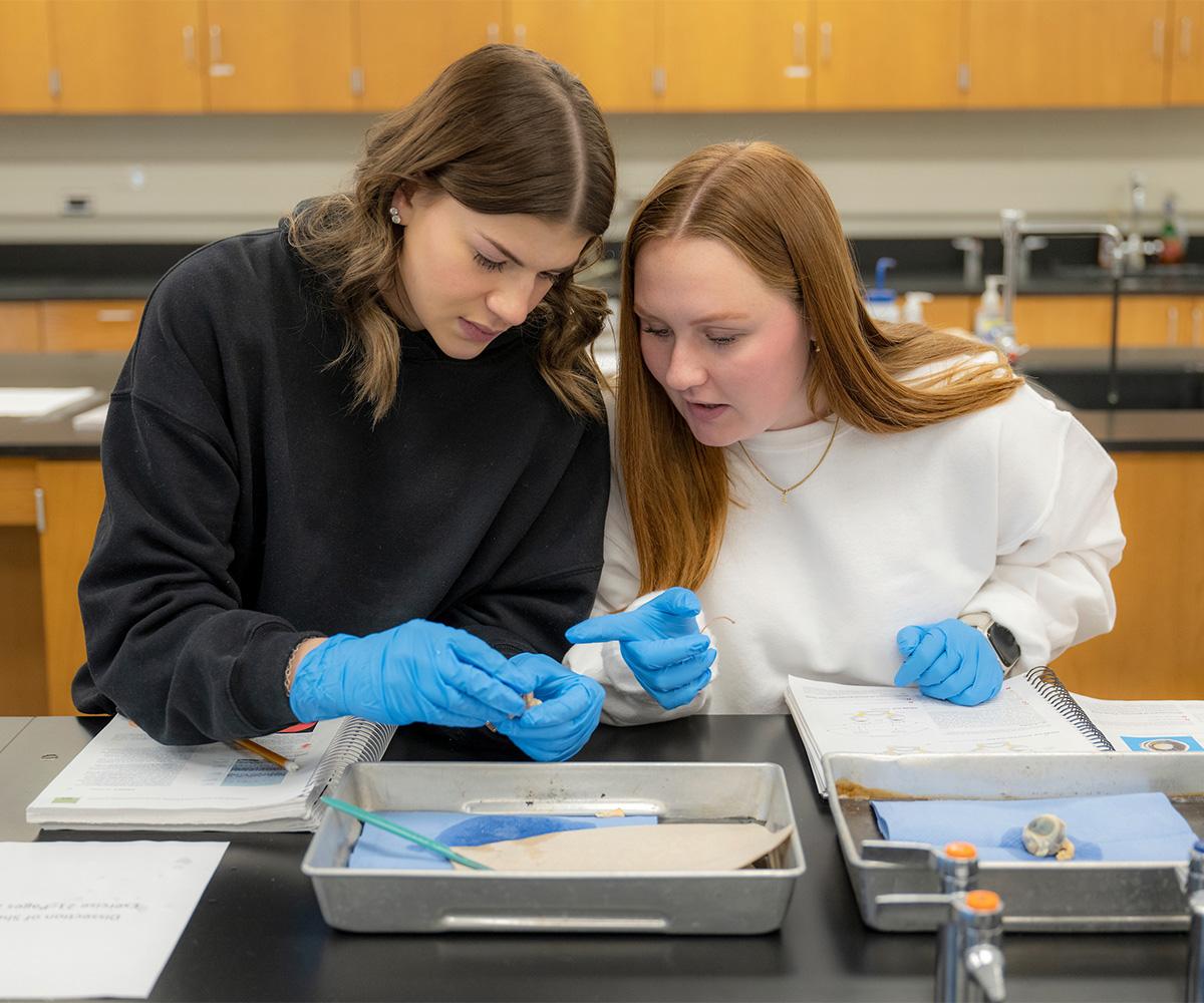 Two students work on a lab project.