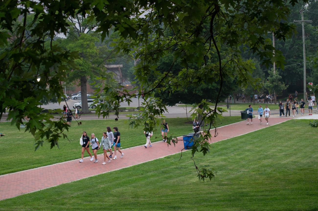 Students walk along a brick path below a tree