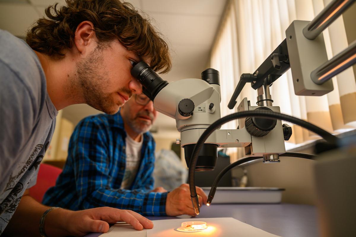Student looks into a microscope alongisde a professor