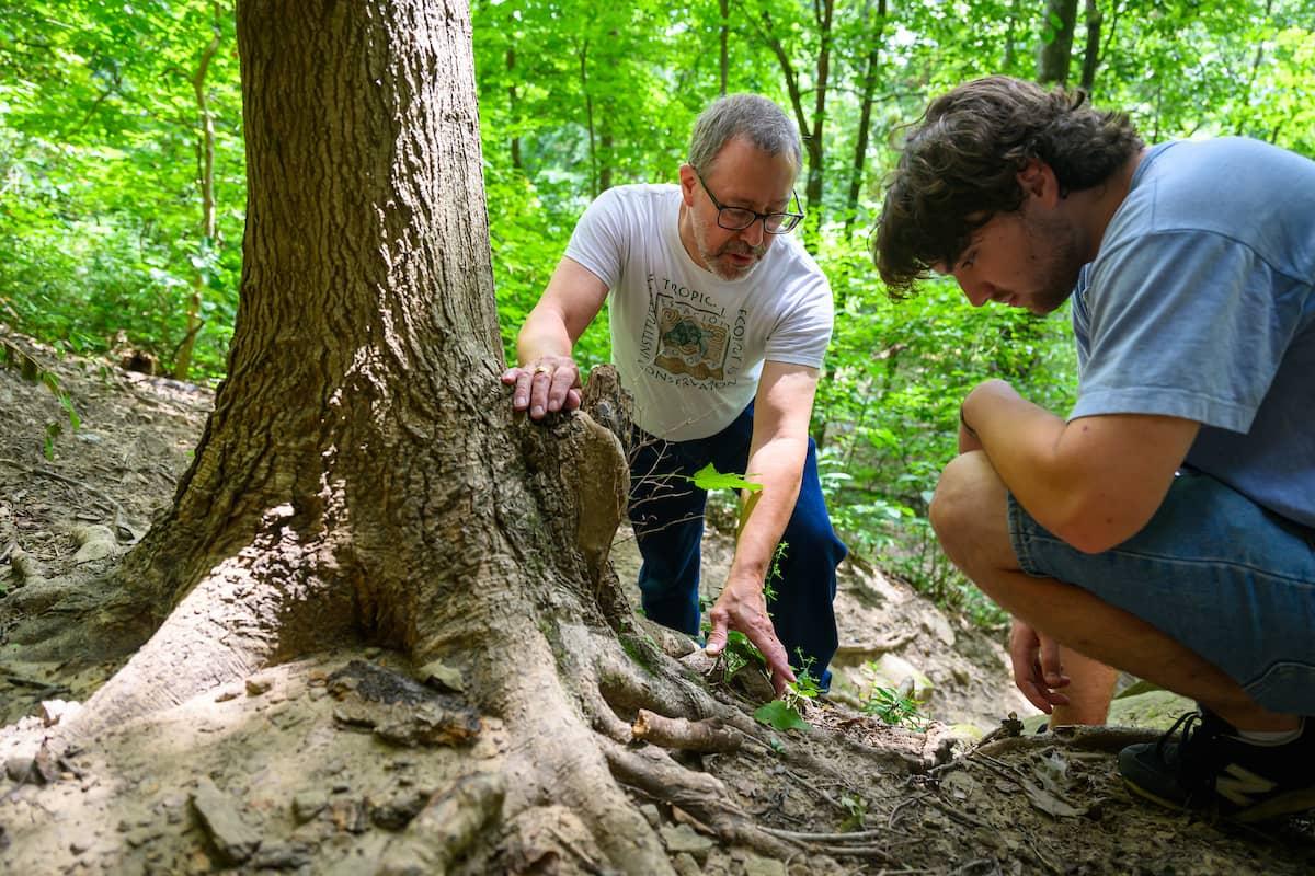 Professor shows student tree roots out in the field