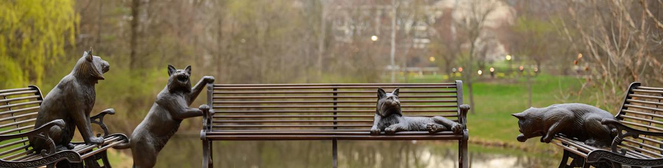 statues of bobcats on benches on Ohio University's campus
