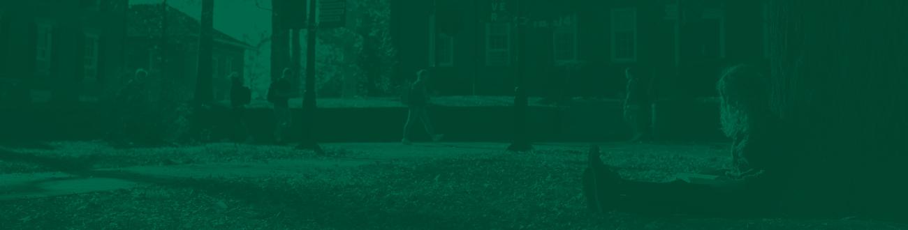 student sitting on the college green reading a book