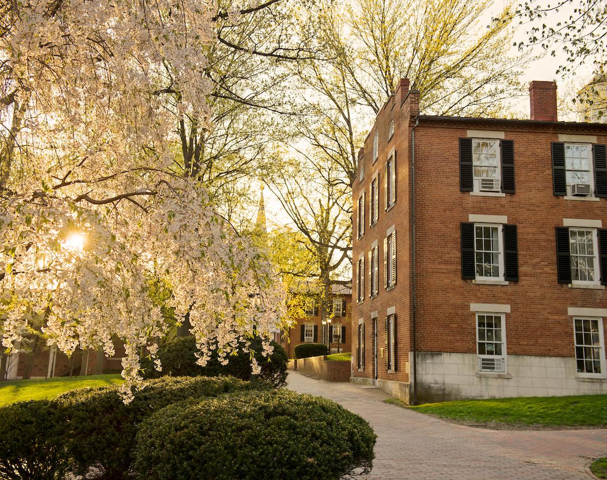 Brick campus building beside a sunlit walkway and blooming spring trees.