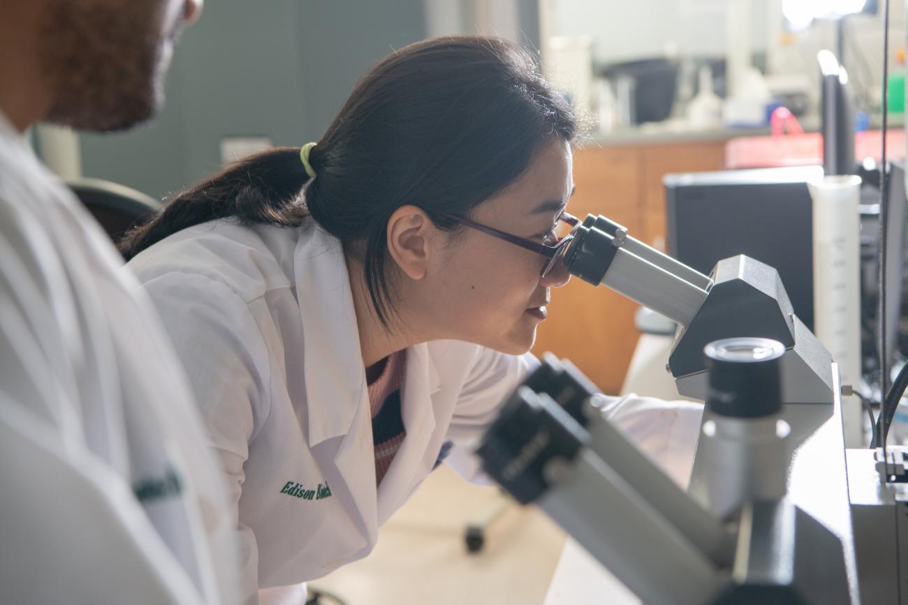 woman in a lab looks into a stereo microscope