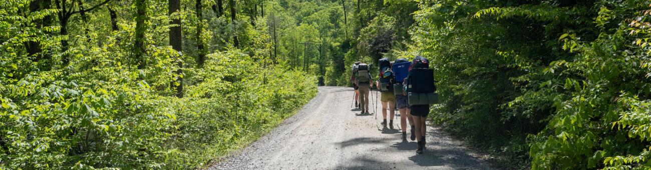 group of first year students hike on beautiful path in lush green forest