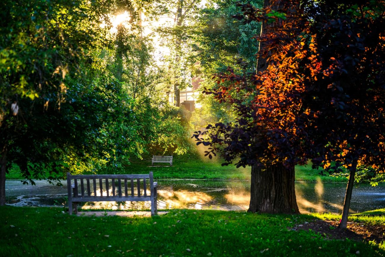 Emeriti Park at Sunrise
