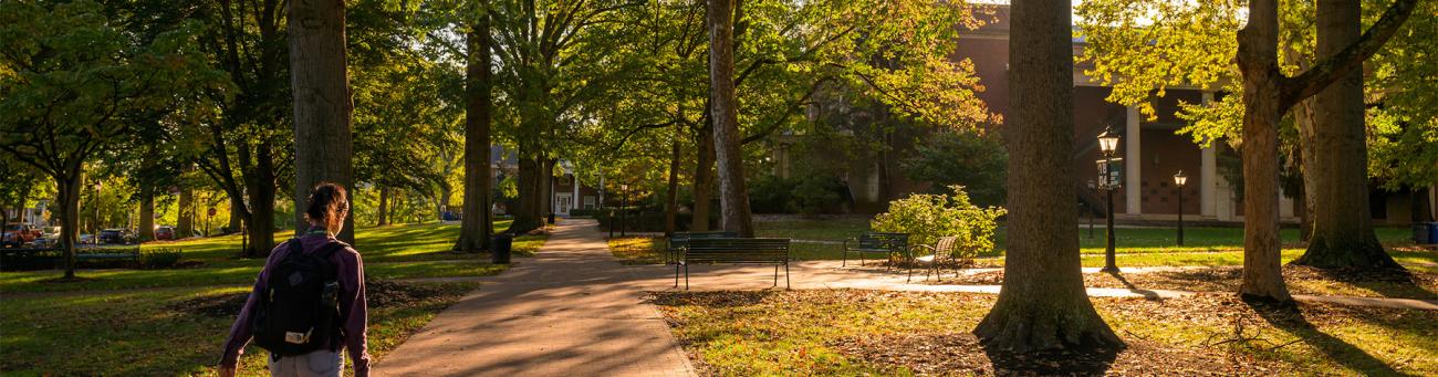A student walks along a brick path through College Green.