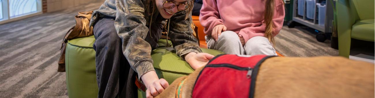 girl gives puppy pets in bobcat artscare event