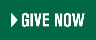 Give Now Button
