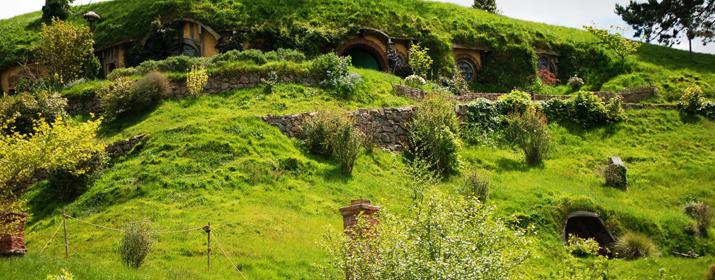 green grass on hill