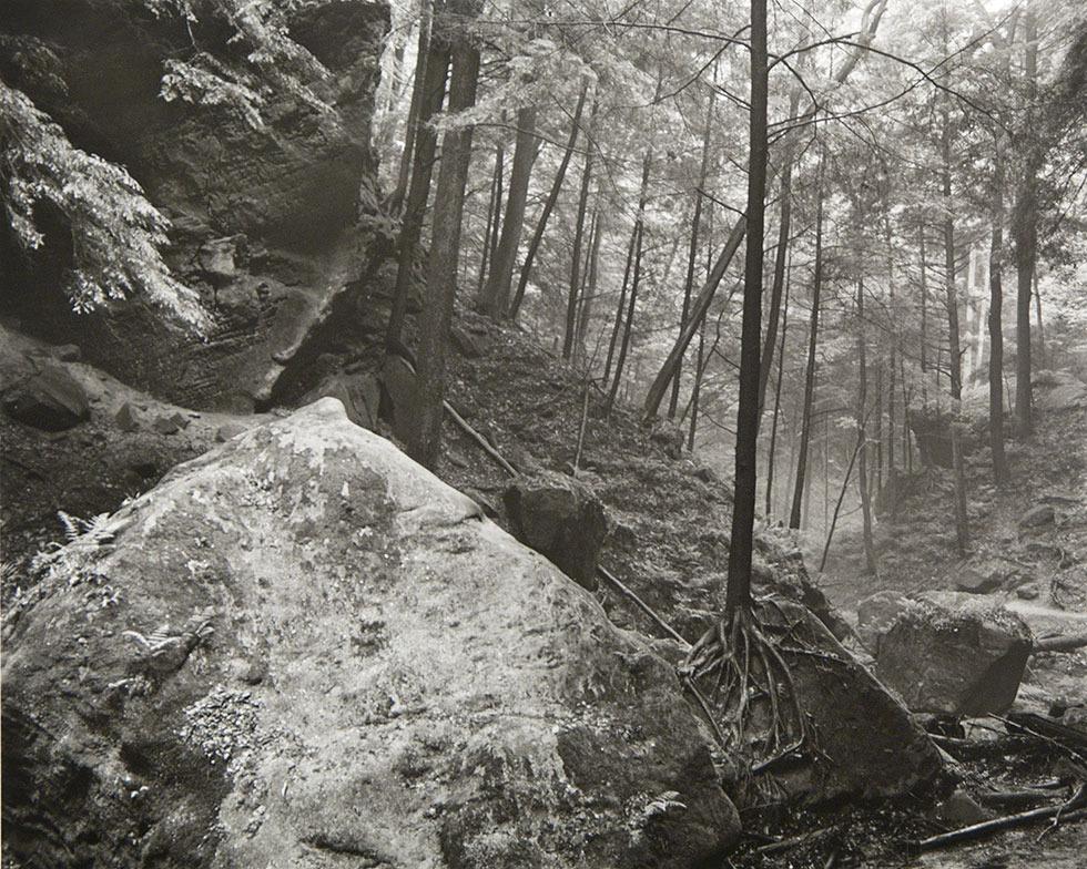 Conkle's Hollow, Ohio, 1981, Frederick Schreiber, gelatin silver, 16 x 20 in. (40.6 x 50.8cm), 84.081.i4. Gift of the artist.