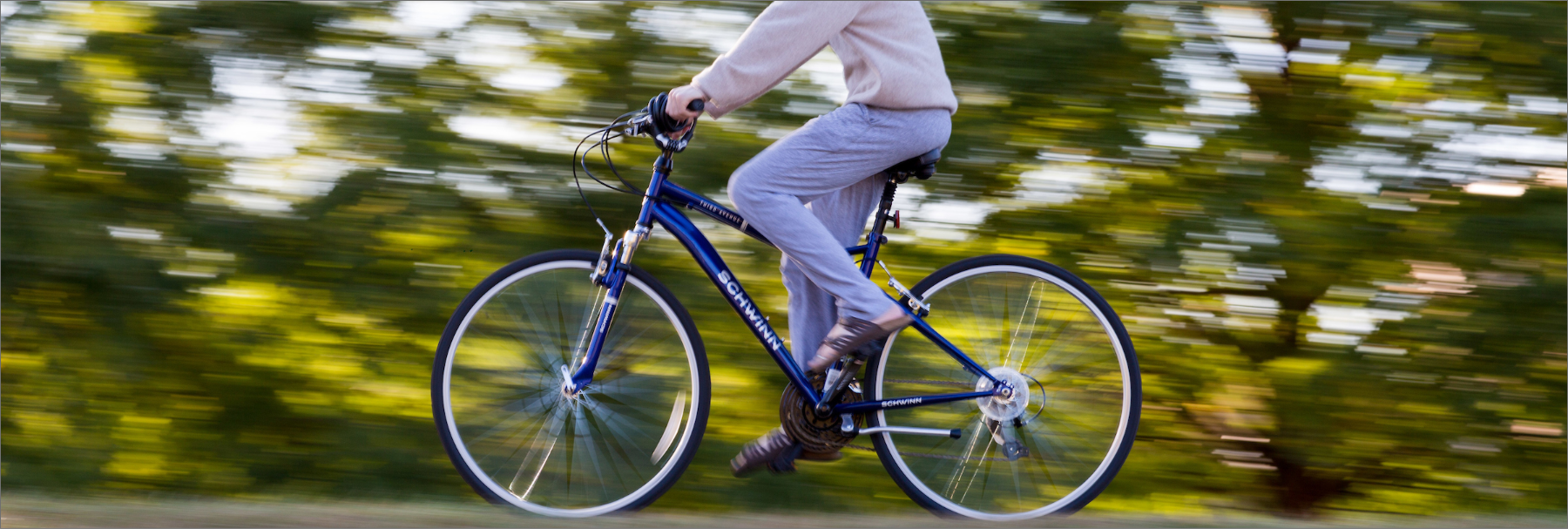 Person riding a bike on a scenic path with motion blur in the background and high focus on the person on the bike.