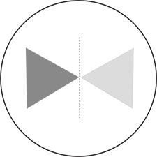 Pattern and Disruption: REFLECTION