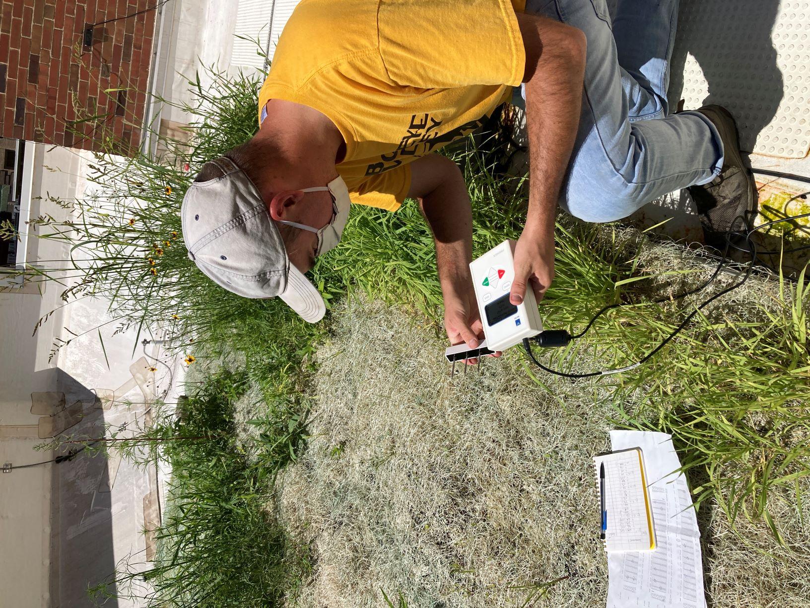 Students measuring soil moisture on a green roof