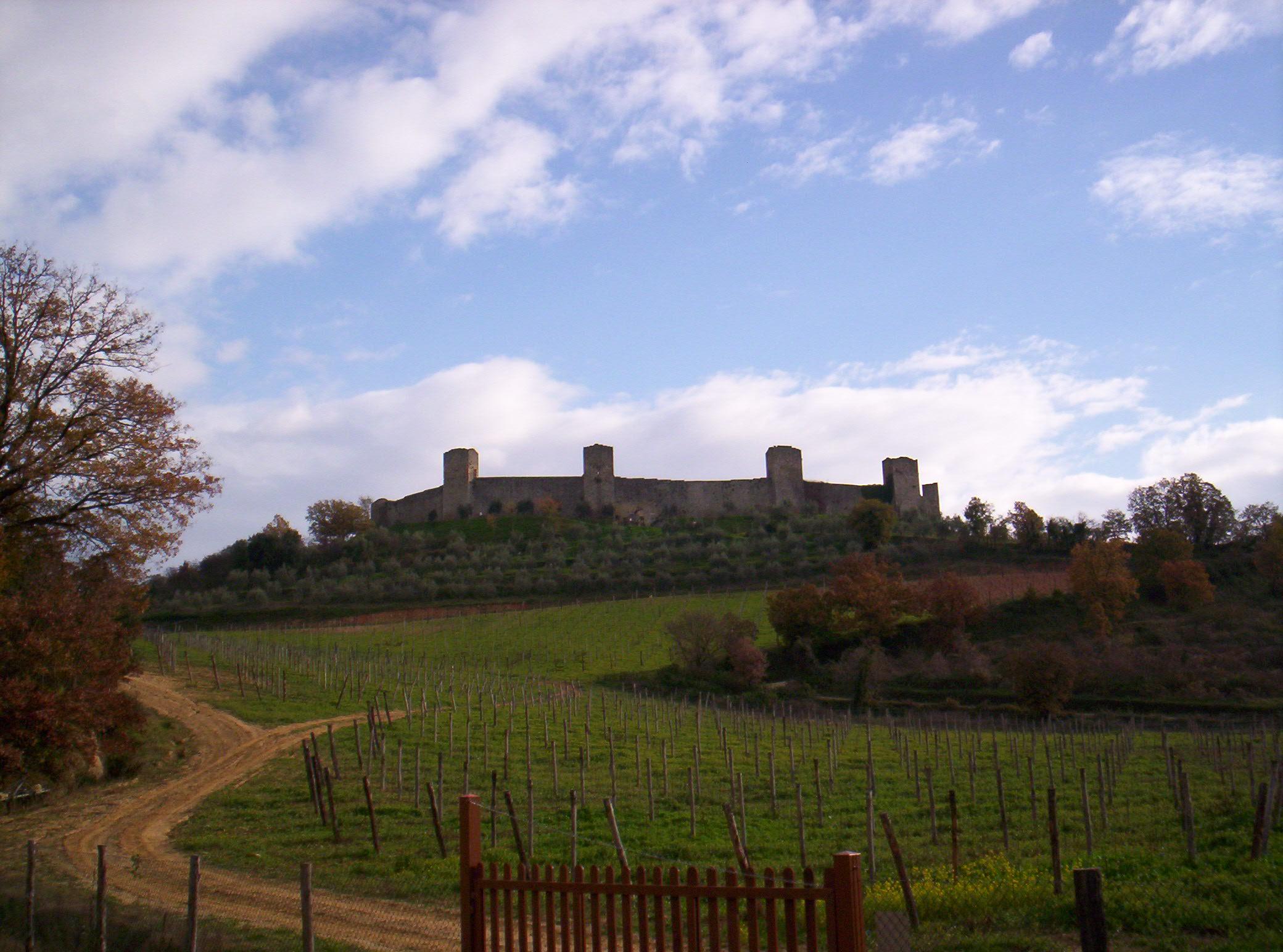 Country side view of a dirt road through a vineyard leading to an old castle