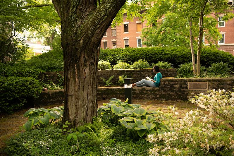 A student sits in Wolfe Garden studying, surrounded by lush greenery and lanscape