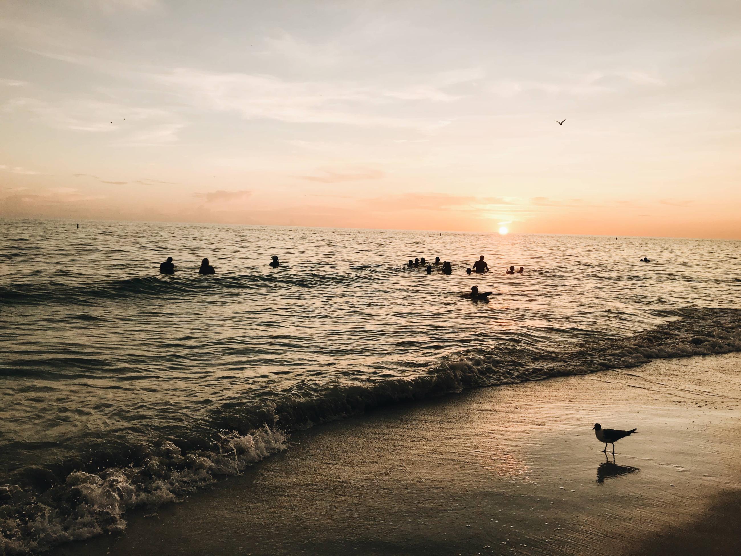 Bradenton Beach: People enjoying a sunset in Bradenton Beach, Florida. 