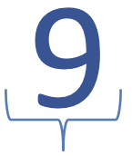 9 = Capital Project