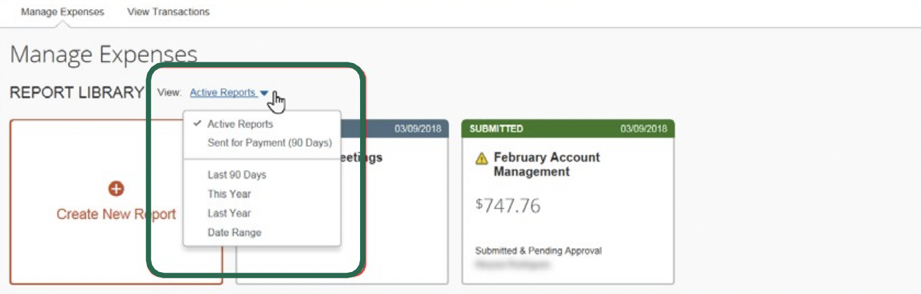 report library - date range
