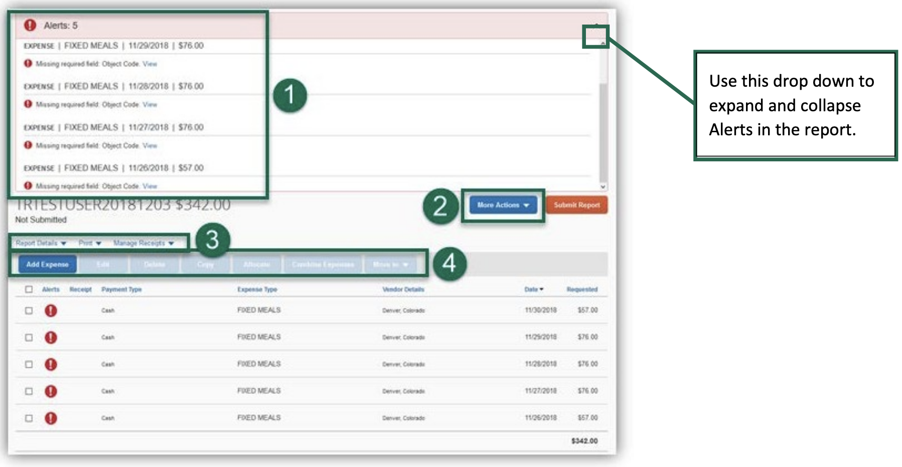 manage expenses screen