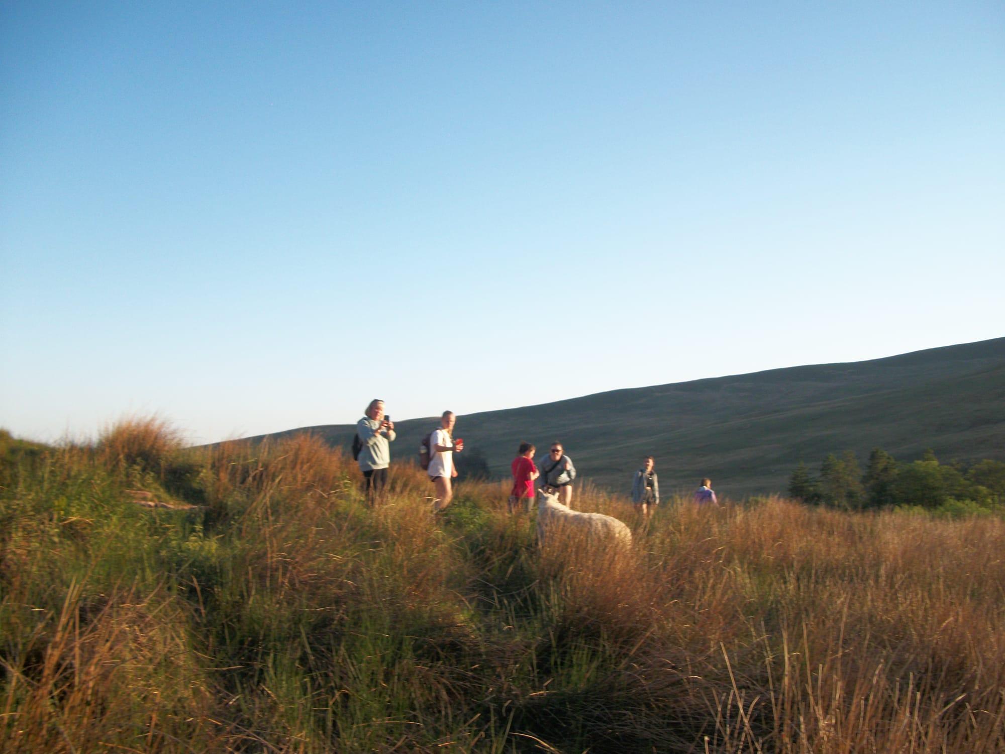 Hiking in Wales on grassy hill