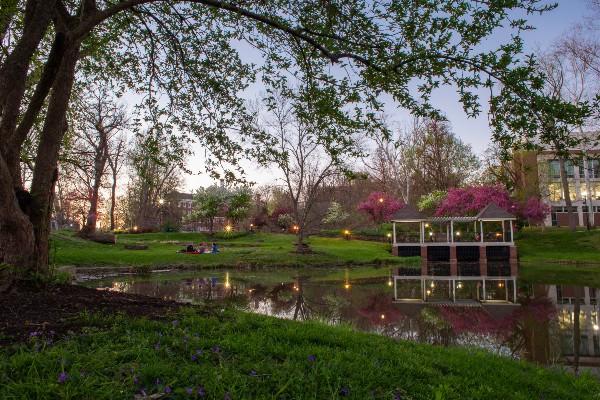 Emeriti Park in Summer