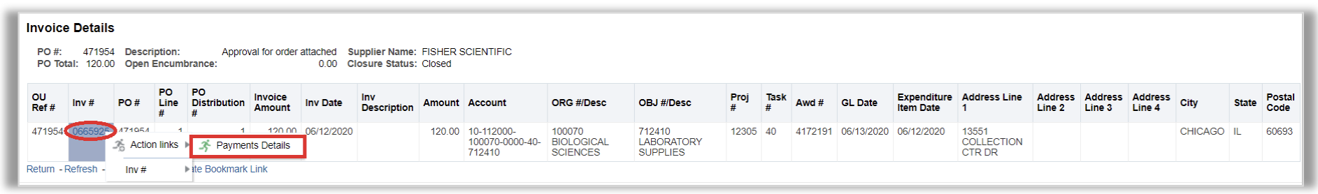 Invoice Details Drilldown