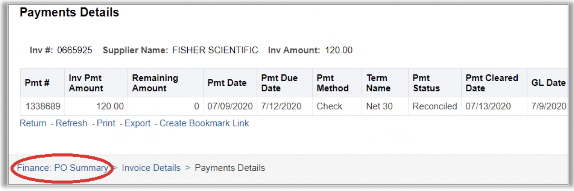 Payment Details Drilldown