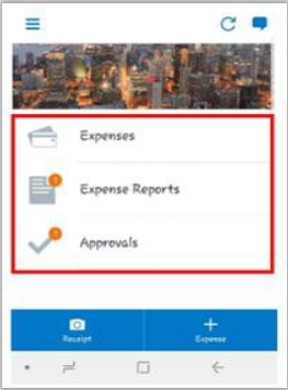 Screenshot exmaple of mobile app android homepage