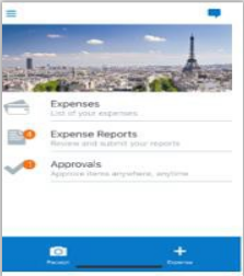 Screenshot example of Concur mobile app login