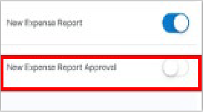 Screenshot example of new expense report approval toggle