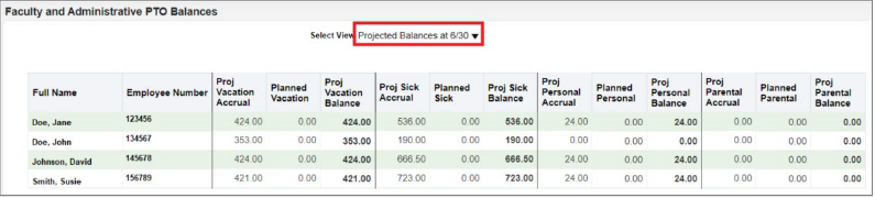 Screenshot of projected balances dashboard