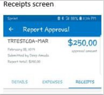 Screenshot of android receipts screen