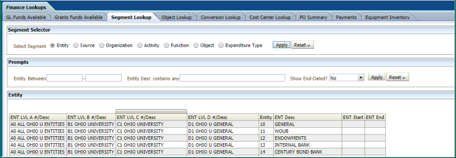 Screenshot of segment lookup with prompted fields