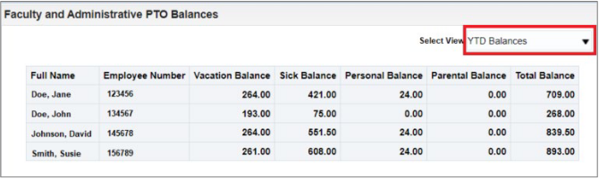 Screenshot of YTD balance dashboard