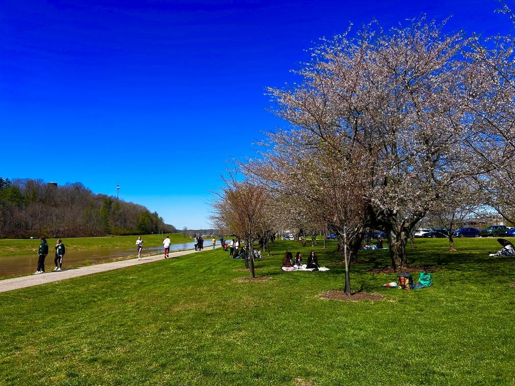 Blooms by the Hocking