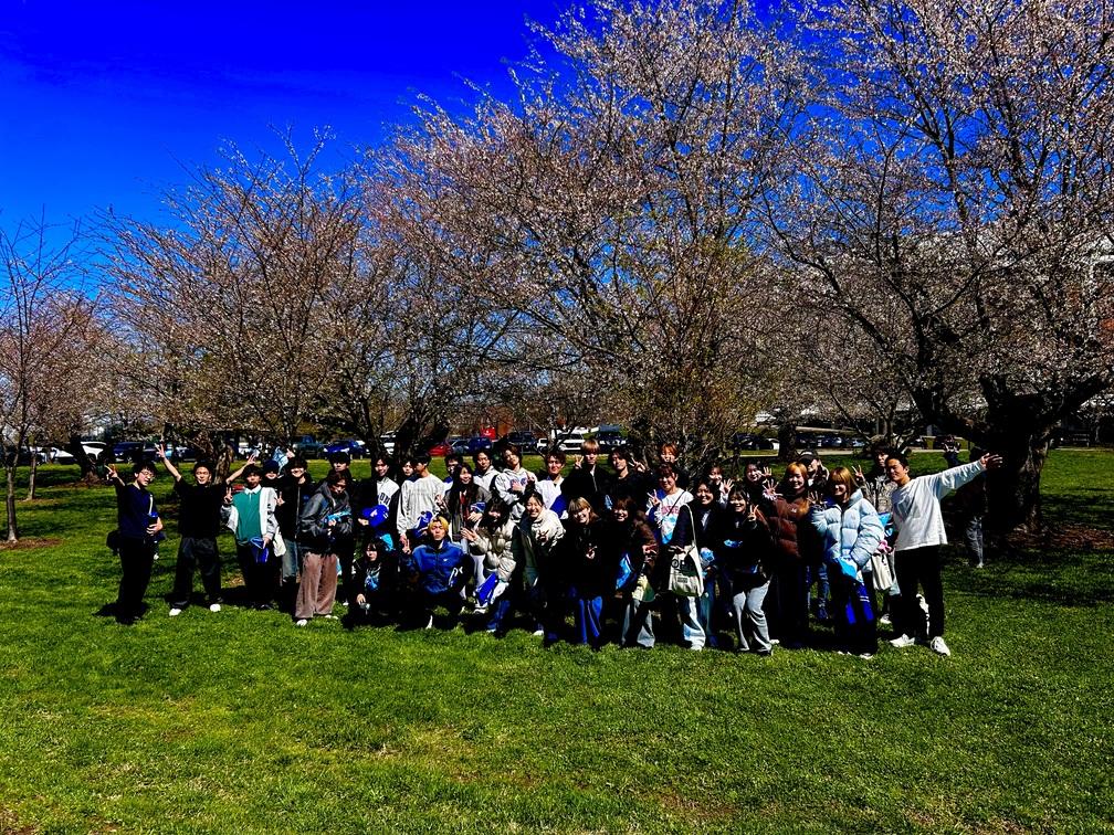 Chubu students visit Sakura