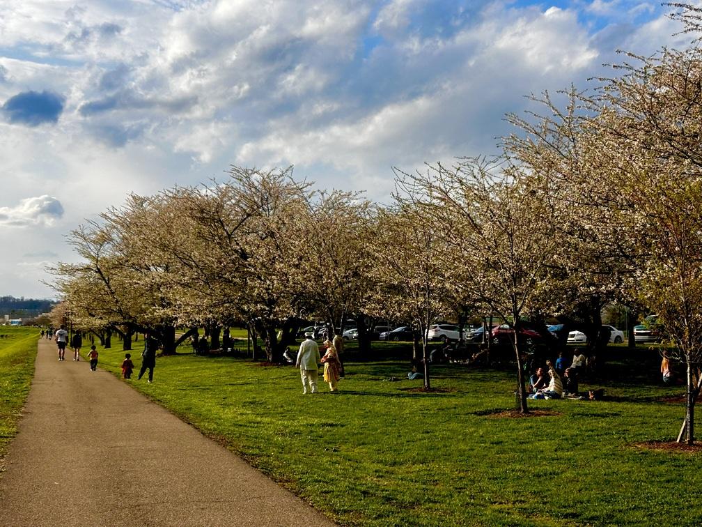 Full bloom bike path