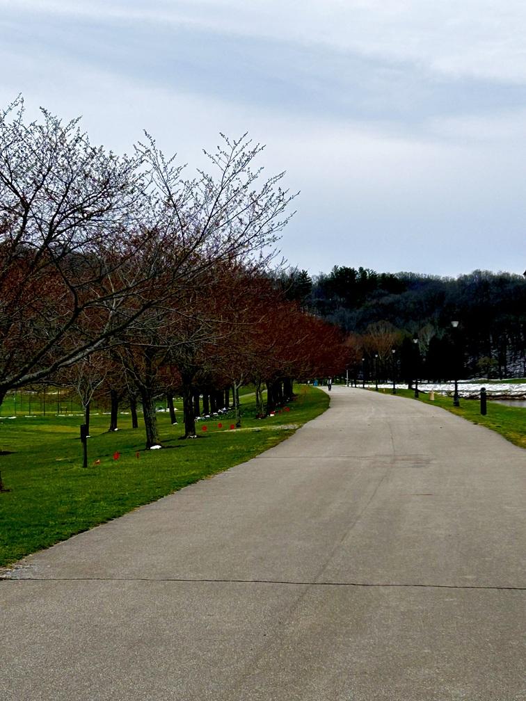 Cherry Trees Bike path