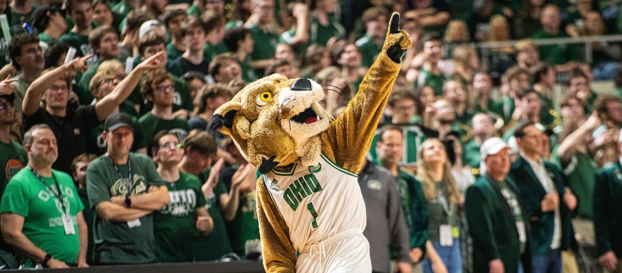 Rufus gets the crowd fired up at the Convocation Center.