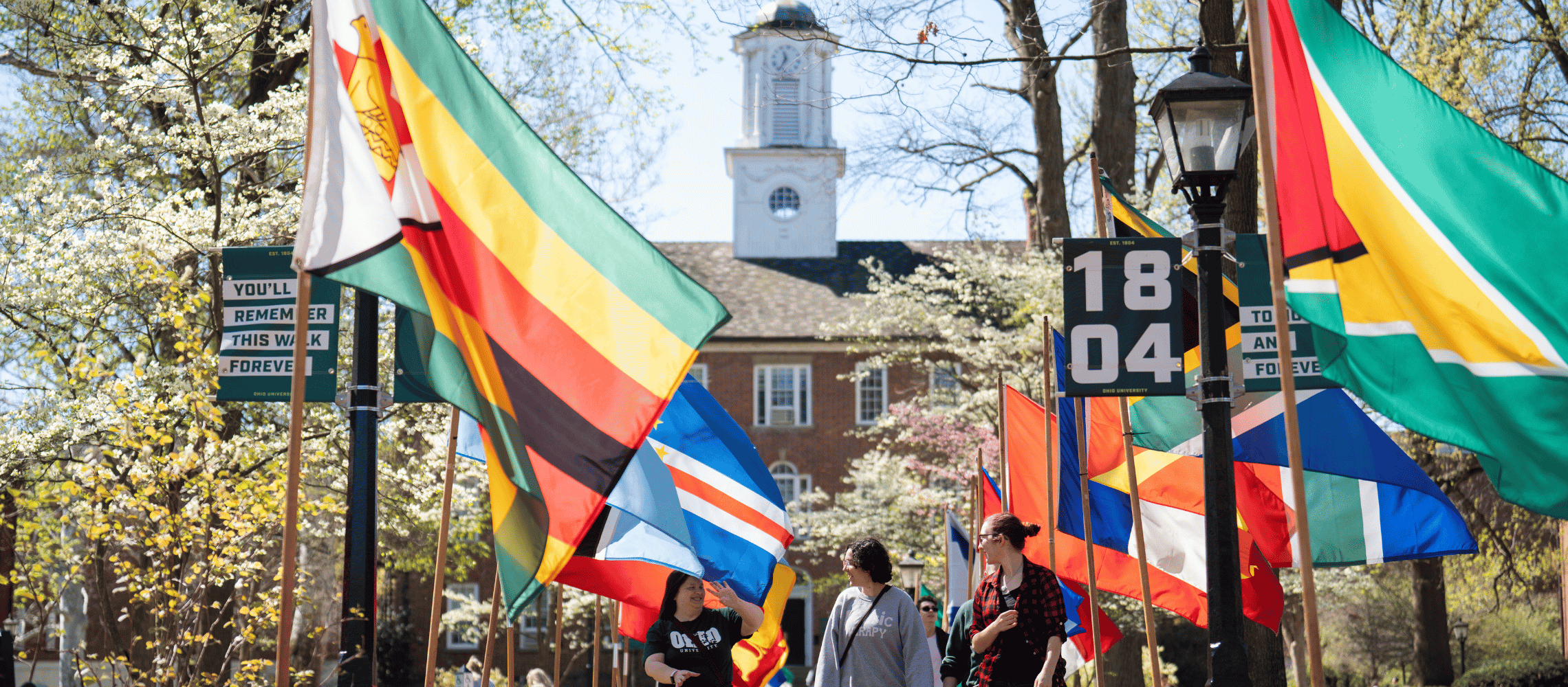 International flags along College Green for International Street Fair