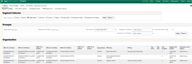 OBI Segment Lookup Org Ex